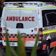 Man's lip 'bitten off' by dog 