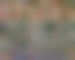 teen color climax porn|