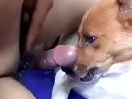 Easaatbaaaaaa yknpexcuy jpg x Guy fucks male dog