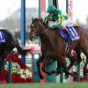 【有馬記念予想】菊花賞組が優勢？過去10年の前走 ...