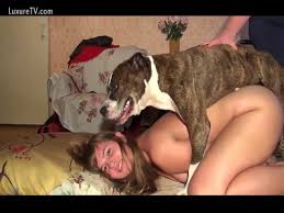 Videos de mujeres teniendo sexo con perros jpg x Teniendo sexo con perros