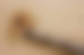 abbywinters.com-irina|TV DIGITAL XXL - Ausgabe 22/2024