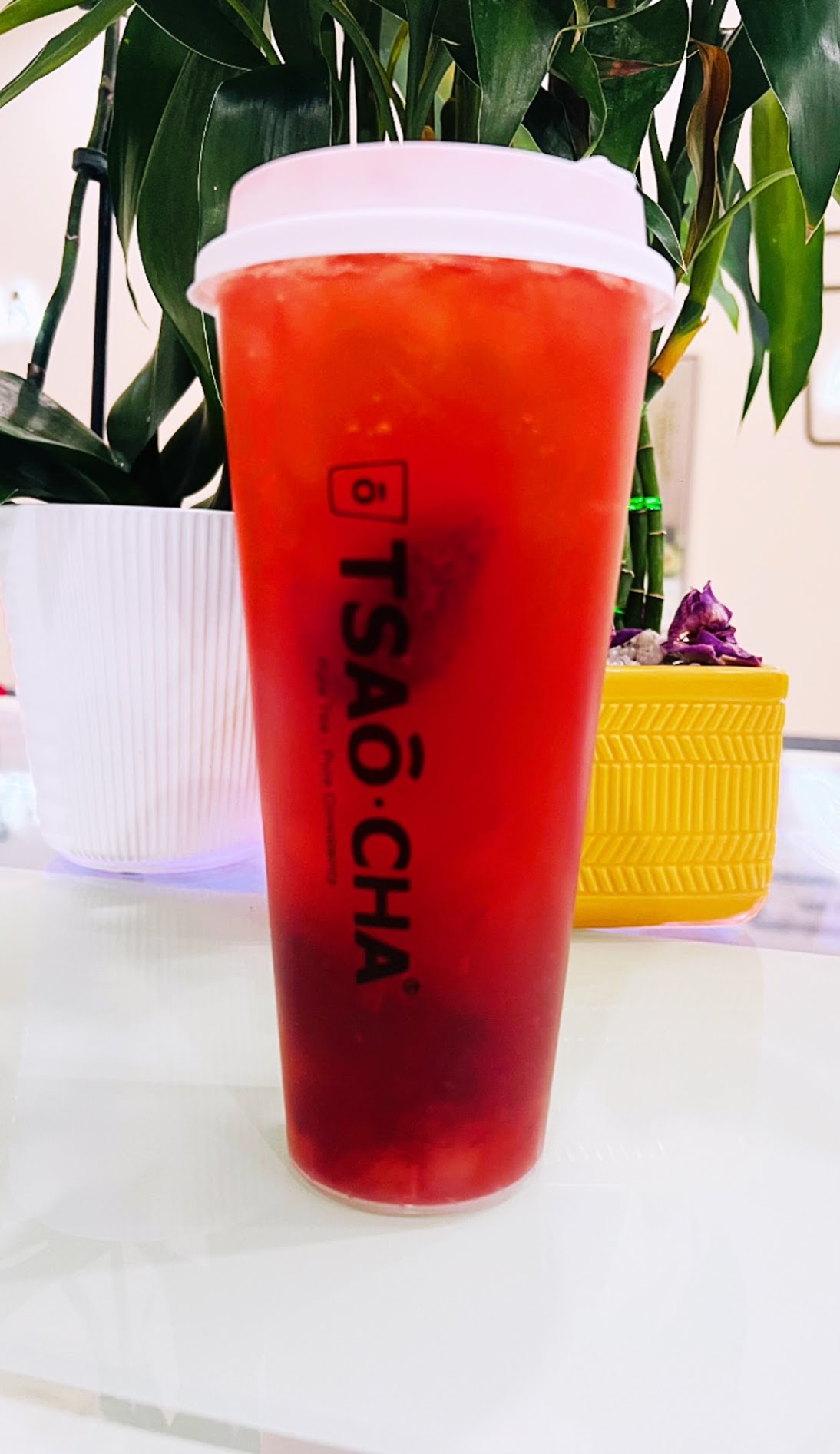 TSAoCAA Bubble Tea by null