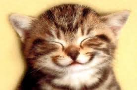 http://t2.gstatic.com/images?q=tbn:ANd9GcQEm1jIPr9qXIjCo6yBveQQu3JW_HFC4QuqXCLv7GD2CSHlVynM