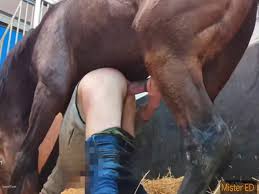 Man fucks his horse with condom gaybeast beastiality sex tube jpg x Man fuck horse