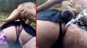 Teen has full sex with dog in the garden zoo porn jpg x Hot girl fucks dog