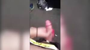 Real caught having sex jpg x Caught having sex