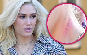 Blake shelton jokes watches porn cooking shows gwen stefani jpg x Gwen stefani