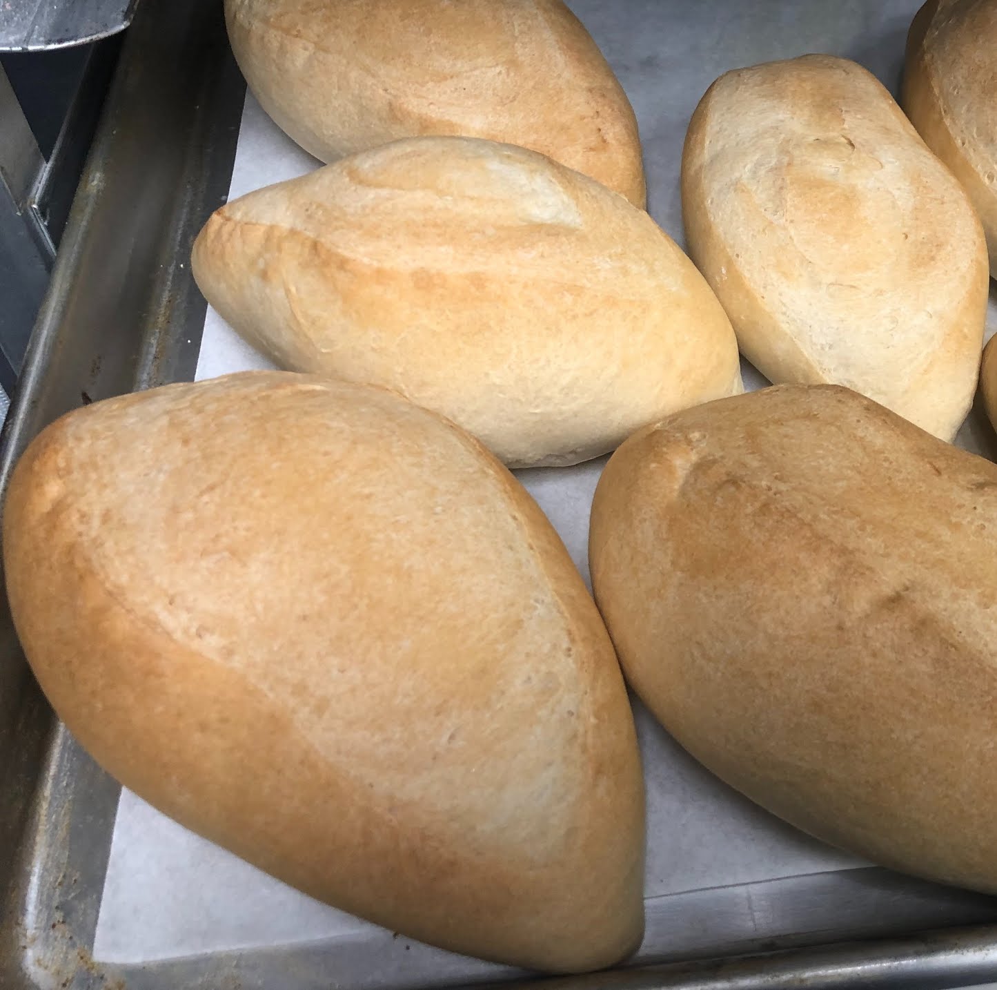 Chico's Oven by null