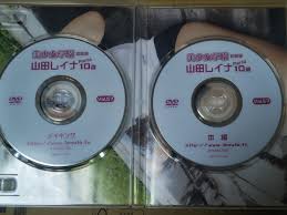   山田レイナ imouto.tv   アイドル  Reina |山田レイナ10枚組パックインBOX DVD｜Yahoo!フリマ（旧PayPay ...