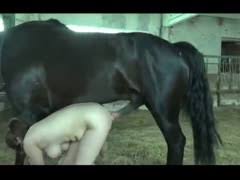 Teen fucks horse jpg x Teen fucks horse