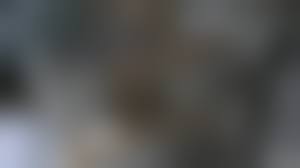 女子　洗面所　盗撮|看護師のトイレ盗撮♪ナースのオシッコ姿が丁度良いアングルで見れる！ | アダルト動画像エログ オールガールズボディ