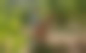 wife outdoor sex|Cheating Wife Fucks Outdoors with Husband's Driver and Swallows Cum with  Pleasure - XVIDEOS.COM