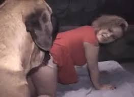 Animal and human sex porn videos jpg x Human and animal sex