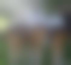 интим фото выпускниц |Эротика выпускницы