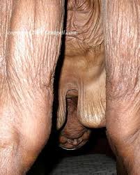 B ca fa a ded jpg x Old granny