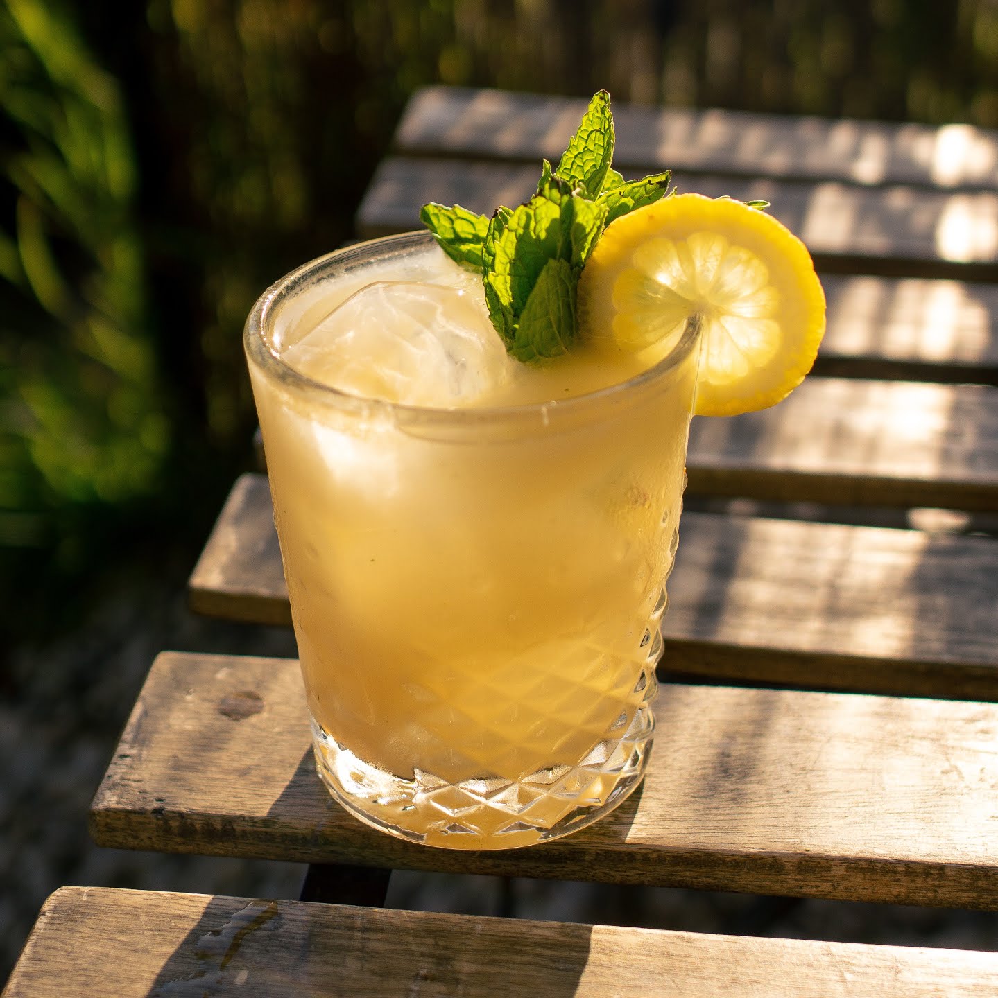 The Semi-Tropic by null