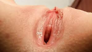 Vaginal fuck jpg x Vaginal fuck