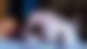 russian mom boy fuck |Russian Mature And Boy Porn - Russian Mature & Russian Milf Videos -  SpankBang