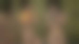 盗撮　露天風呂　マンコ|Aquarium流出！ 黒すぎwww露天風呂で遭遇した超剛毛マンコ - Nozokix