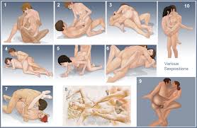 A guide to kamasutra positions jpg x Sex position guide