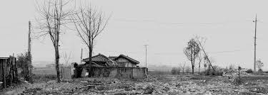 이수현 누드합성|제36대 총학생회 선거 무산돼