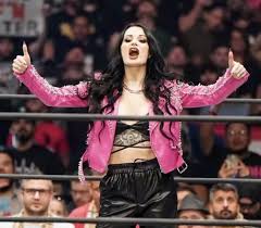 Wwe superstar paige career is over png x Wwe paige