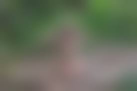 Amputee girls nude|Amputee Corinne Hutton poses nude for organ donation campaign - BBC News