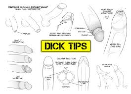 Whale porn gay male tube jpg x Whale tube