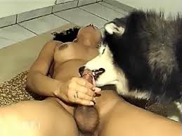 Sex with animals jpg x Sex with animals