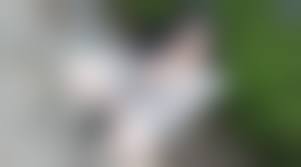 野外露出　熟女　おばさん　無修正|熟女達の野外露出エロ画像 - 性癖エロ画像 センギリ