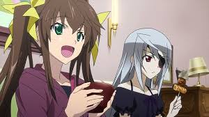 Infinite stratos long live ecchi jpg x Infinite stratos long live ecchi