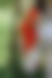 高齢熟女　野外　無修正|五十路】爆乳ゲロブスおばさんが野外露出で醜い全裸を晒すモザイクなし無料無修正エロ動画 | 熟女メディア