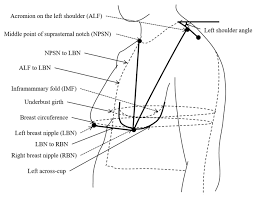 rq-star no. 00468|Analytic Solution for a Complex Network of Chaotic Oscillators