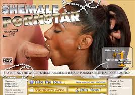 Best shemale pornstars of top list mrporngeek jpg x Top shemale stars