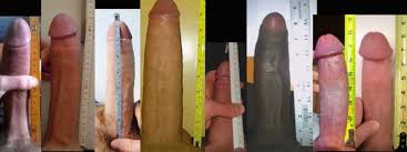 Genderx comparing dick sizes with stepsis aubrey kate jpg x Dick comparison