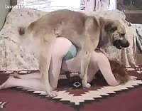 Gaybeastcom fucking dogs pussy animal boy png x Guy fucks dog pussy