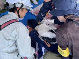 屋外路上露出ＪＫ|謎の女、屋外の光路上に立って怖い幽霊女の恐怖シーンの写真素材・画像素材 Image 86440776