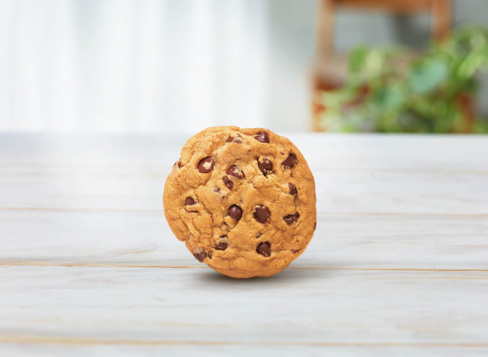 Subway 工學復興 by null