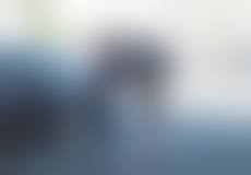 porn pros public porn