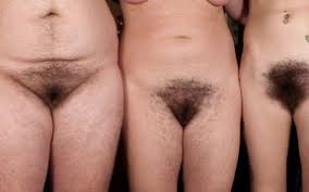 Ri wbeasaatbaaaaaa jpg x Hairy pussy