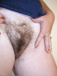 Son ybegndhgaaaa loihlw jpg x Chubby hairy pussy