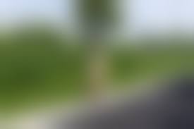 野外全裸妻|野外露出 画像投稿掲示板 投稿内容