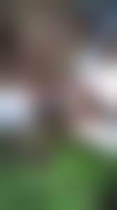 lsmodels 956x1440|Ls Pussy Models – Telegraph