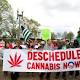 DEA to decide within months whether to change federal status of marijuana 