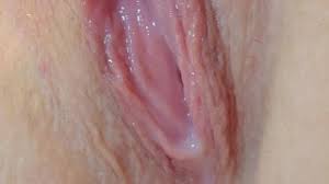 Search creamy wet pussy solo jpg x Wet pussy solo