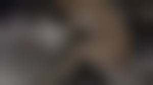 女と犬の交尾|交配補助 – A HAPPY DOG LIFE