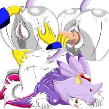 A ae ac a ae jpg x Blaze the cat
