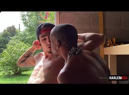 Harlem hookups jpg x Harlem hookups