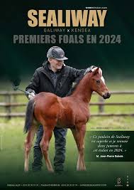 hebe pussy 8ch|St. Mary's Muse